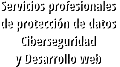 Servicios profesionales  de protección de datos  Ciberseguridad  y Desarrollo web