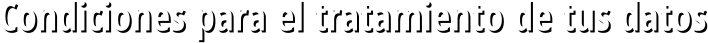 Condiciones para el tratamiento de tus datos