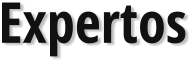 Expertos